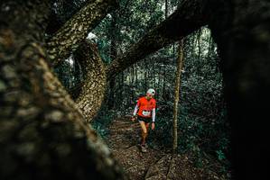 BIB: 
                            <button type="button" onclick="openModal(25708652)" class="btn btn-primary btn-sm float-right btn-popup" data-toggle="modal" data-target=".modal-high-quality">
                        <i class="fas fa-shopping-cart"></i> Add to Cart
                    </button>
                                            <button type="button" onclick="isThisMe(25708652, true)" class="btn btn-success btn-sm float-right btn-popup btn-isme hidden" data-toggle="tooltip" data-placement="bottom" title="นี่คือรูปของคุณใช่ไหม คลิกที่นี่เพื่อเอาเข้าอัลบั้ม">
                        <i class="fas fa-plus"></i> Add to album
                    </button>
                    <button type="button" onclick="isThisMe(25708652, false)" class="btn btn-warning btn-sm float-right btn-popup btn-isnotme hidden">
                        <i class="fas fa-ban"></i> Remove from album
                    </button>